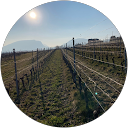 Johannes Niggli (J.F.) profile picture